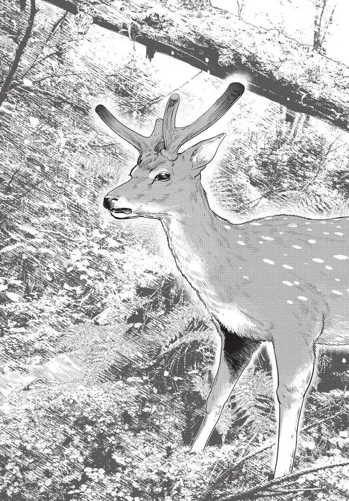 Golden Kamuy Chapter 108 image 18_optimized